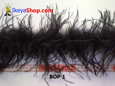 bulu ostrich BOP 1   feather  large2